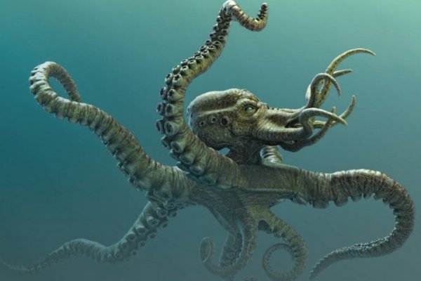 Kraken вход и ссылки