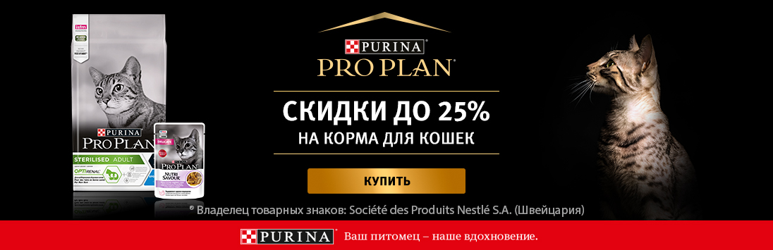 Kraken cc зеркало kr2web in